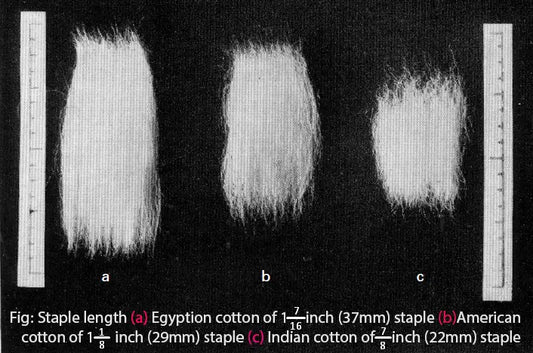 Types of Cotton Fabric: The Quick Guide